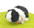 Produktbild: Teddy Hermann Plüschtier Meerschweinchen schwarz-weiß 20cm - spiel gut