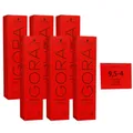 Produktbild: Schwarzkopf Igora Royal 6 x 60 ml 9,5-4 beige Haarfarbe Cremefarbe Set