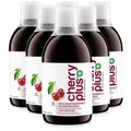 Produktbild: Cherry PLUS - Montmorency Sauerkirsch Konzentrat 6X500 ml