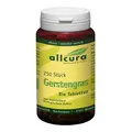 Produktbild: Gerstengras Tabletten Bio 250 St