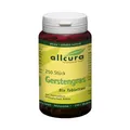 Produktbild: allcura Gerstengras Bio Tabletten