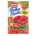 Produktbild: 10x Dr. Oetker Preiselbeere Rote Grütze Fruchtig Vegan Slodka Chwila 32,5g