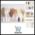 Produktbild: 125 Stück getrocknetes Pampasgras-Bouquet, Boho-Tischdeko, Bunny-Tails-Trocke...