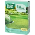 Produktbild: Green Boots Rasendünger 3kg für 60m² – Dichter Grüner Rasen Dünger