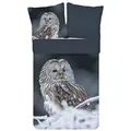 Produktbild: ESPiCO Bettwäsche Trendy Bedding Bennie Eule Schnee AST Landschaft Vogel Tiermotiv Renforcé, Größe:135 cm x 200 cm