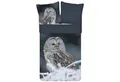 Produktbild: ESPiCO Kinderbettwäsche Bennie Eule Trendy Bedding, Renforcé, 2 teilig, Tiermotiv, Landschaft, Eis