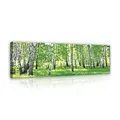 Produktbild: WallArena - Leinwand Bilder - Wald Grün Natur Landschaft - 145x45 cm Leinwandbilder - Bild auf leinwand - Wandbild XXL groß Wandbilder für Wohnzimmer Schlafzimmer Wohnzimmerbilder Modern