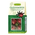 Produktbild: Rapunzel - Glückskäfer gefüllt HIH - 100 g - 10er Pack