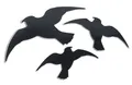 Produktbild: 3x Windhager Aufkleber Sticker Fensterschutz Vogelschreck gegen Vogelschlag
