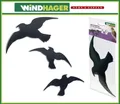 Produktbild: 3x Windhager Aufkleber Sticker Fensterschutz Vogelschreck gegen Vogelschlag