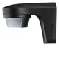 Produktbild: Theben theLuxa S180 BK Bewegungsmelder (PIR) Wandmontage außen IP55, Lichtsteuer