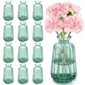 Produktbild: Kleine Glasvasen für Tischdeko, 12 Stück Kleine Glasvasen, Vintage Stil Deko ...