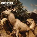 Produktbild: INTERPOL - OUR LOVE TO ADMIRE  2 VINYL LP NEU