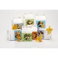 Produktbild: Natursutten orthodontic pacifier (NTS01 02837) (ab 12 Monaten) (NTS01_02837)