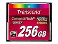 Produktbild: TS256GCF800 Transcend Premium Flash-Speicherkarte 256GB ~D~