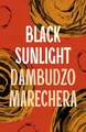 Produktbild: Black Sunlight: Dambudzo Marechera