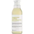 Produktbild: Botánicapharma Botanicapharma - Sage & Thyme Shampoo Anti-Dandrins Shampoo For Oily Hair Sage And Thyme 250Ml (Flüssiges Shampoo, 250 ml) (8435045202829)