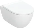 Produktbild: Geberit Combi-Pack Acanto Wand-Tiefspül-WC Weiß