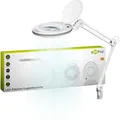 Produktbild: goobay Lupenleuchte/LED Lupenlampe aus Plastik / 8 W Leistungsaufnahme, Farbtemperatur 6500 K/Lichtstrom 650 lm/Betriebsspannung 230 V (AC) 60361, Weiß