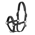Produktbild: Eskadron Platinum Halfter Double Pin Faux Leather, Größe:Warmblut, Farbe:Black