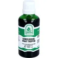 Produktbild: GUNDELREBENKRAUT Tropfen zum Einnehmen 50 ml PZN11602481