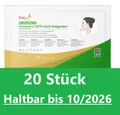 Produktbild: HOTGEN Schnelltest 20 Stück 1er Paket Nasal Antigen Laientest Selbsttest Corona