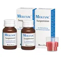 Produktbild: MOLEVAC Suspension, 2 x 25 ml - Wurmkur gegen Madenwürmer (Darmparasiten) für Menschen | Entwurmungsmittel, Parasitenkur mit Pyrvinium bei Wurmbefall, bzw. zur Behandlung bei Madenwürmern