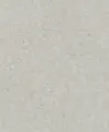 Produktbild: Rasch Vliestapete 520859 Grau-Hellgrau Uni 10,05 m x 0,53 m