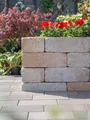 Produktbild: Mauersteine ANTIK GEK. SANDSTEIN 42/21/14 CM 72/DBP