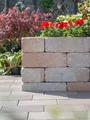 Produktbild: Mauersteine ANTIK GEK. SANDSTEIN 42/21/14 CM 72/DBP
