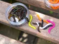 Produktbild: Spro Trout Master Dendrobaena 60 | Orange