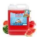 Produktbild: Belissia Slush Eis Sirup Wassermelone Geschmack 5L Konzentrat 1:5
