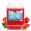 Produktbild: Belissia Slush Eis Sirup 5L Konzentrat - Wassermelone - für Slush-Eis & Wasserei