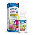 Produktbild: Klosterfrau Cistus Infekt Blocker Mundspray 30 ml