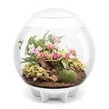 Produktbild: biOrb 46147 biOrb AIR 60 weiß - automatisiertes Terrarium zur bequemen Pflege exotischer Pflanzen, LED-Beleuchtung, 60 l Fassungsvermögen