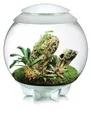 Produktbild: biOrb Nano-Terrarium AIR 60 für Tropenpflanzen weiß