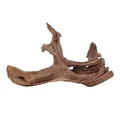 Produktbild: Aquaone Aquarium XL Mangrovenwurzel Nr.2918 Holz Deko Aquascaping