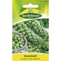 Produktbild: Rosenkohl, Groninger Quedlinburger Saatgut Samen 428478
