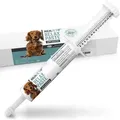 Produktbild: REAVET Relax Paste für Hunde 30ml Applikator - Hund sekundierend zur Beruhigung I natürliche Paste für Hunde I kein Remedium Beruhigungsmittel