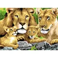 Produktbild: Pracht Malen nach Zahlen Junior Löwenfamilie 40 x 32,5 cm