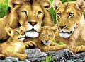 Produktbild: Malen nach Zahlen Junior Löwenfamilie 40x32,5 cm Pracht Creatives Hobby  - Neu