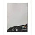 Produktbild: Pollen 10x Papier A4 Pollen 120g 50 Blatt - Silber 4199C