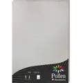 Produktbild: Pollen 10x Papier A4 Pollen 120g 50 Blatt - Silber 4199C