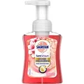 Produktbild: Sagrotan Handseife Flüssig Rote Früchte 3167268 250 ml