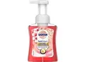 Produktbild: Sagrotan Handseife Flüssig Rote Früchte 3167268 250 ml