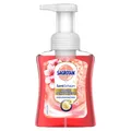 Produktbild: Sagrotan Schaumseife Kirschblüte & Rose 3167268 250ml