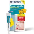 Produktbild: tetesept Nasen Wundsalbe I Für trockene & wunde Nasenhaut I Wund und Heilsalbe mit Dexpanthenol | Ideal bei Erkältung & Schnupfen I Heilt, pflegt und schützt | Nasensalbe für Kinder & Erwachsene | 5g