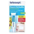 Produktbild: Tetesept Nasen Heilsalbe · 5 g · PZN 06810562