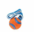 Produktbild: Chuckit Tierquietschie Ultra Tug M 6 cm