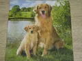Produktbild: 3 Servietten Golden Retriever   Napkins